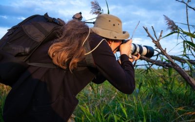 Wildlife Photography Tips, Tricks for Seniors