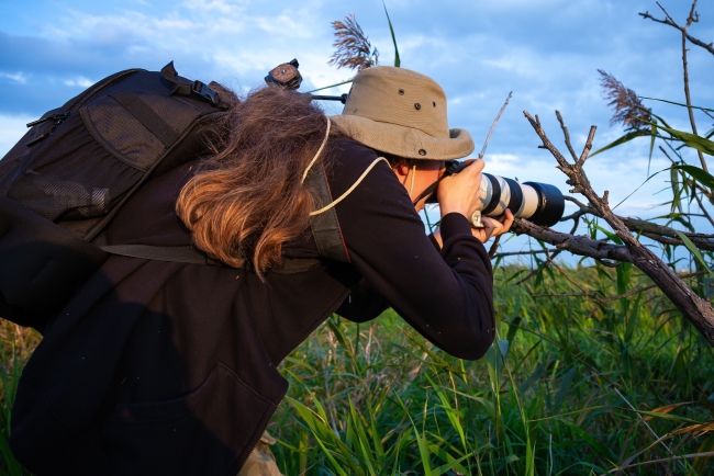 Wildlife Photography Tips, Tricks for Seniors