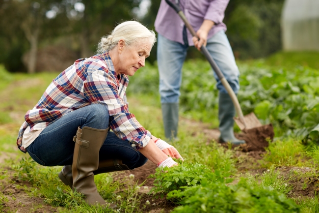 Fall Garden Cleanup Checklist